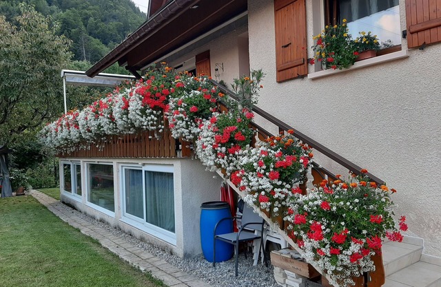 Spacious apartment for 5 people at the gates of Aravis