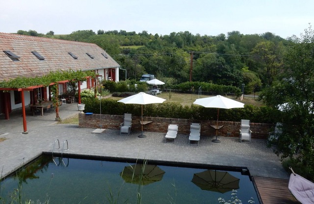 Spacious apartment with use of swimming pond in tranquil village