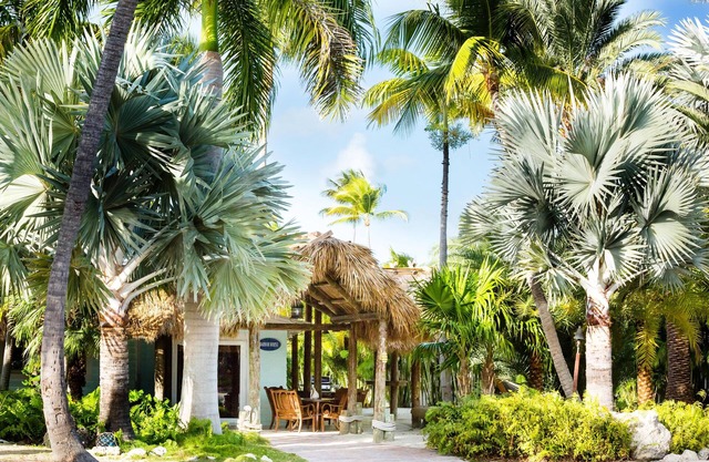 Spacious Caribbean-Style Home w/Kitchen, WiFi, Grill, & Outdoor Veranda