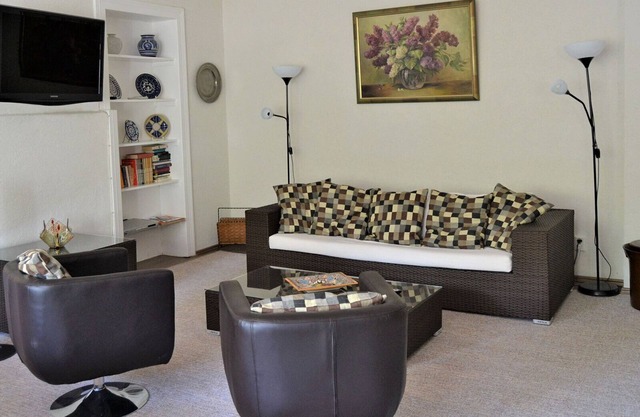 Spacious Holiday Home with Private Sauna, Terrace and Scenic River Views in Bern
