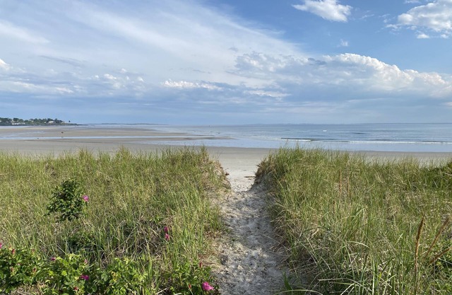 Spacious Ocean View Getaway, 3 min walk to beach with large fenced in yard