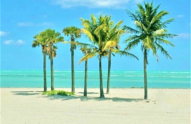 Spacious One Bedroom with Pool minutes to the Beach -