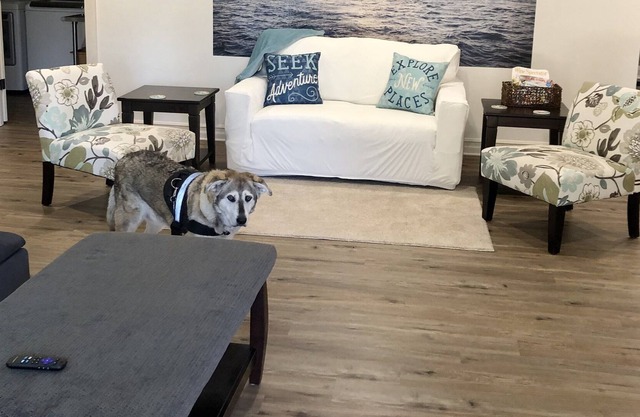 Spacious, one level pet-friendly gem with fenced yard, 5 minutes from the ferry!