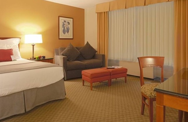 Spacious Pet-Friendly Room Near Downtown! Enjoy the View w/ Large Window, Pool