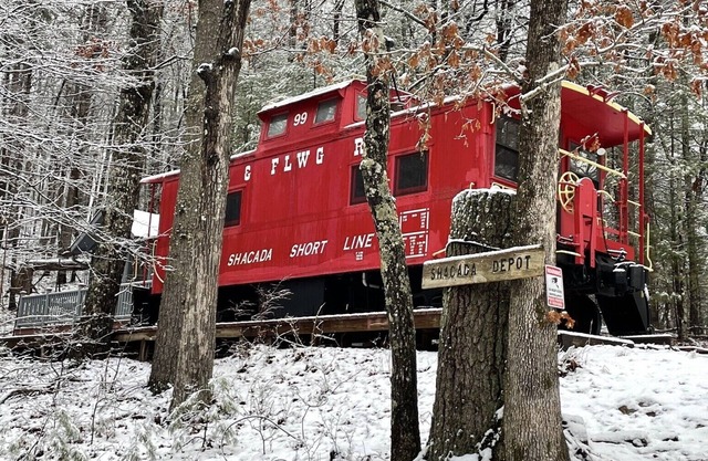 Spacious Secluded Home with Real Antique Caboose and Mountain View!