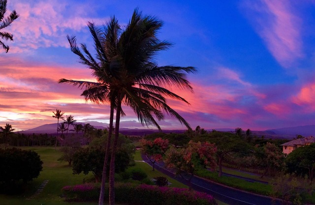 Spectacular Beach Resort Condo - Summer Special - Amazing Views