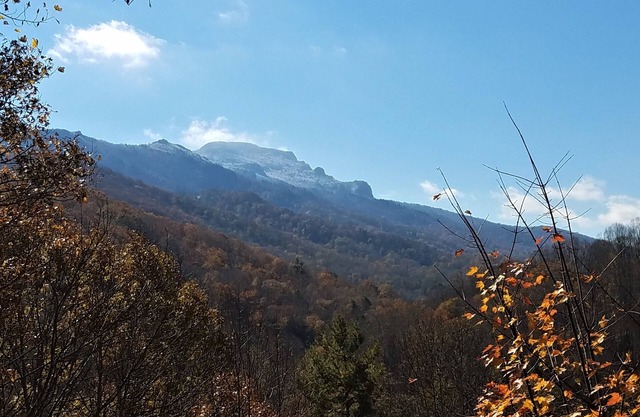Spectacular Grandfather Mountain Views from three levels, centrally located