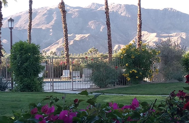 Spectacular view, steps to pool/jacuzzi at Sunrise Country Club-winter available