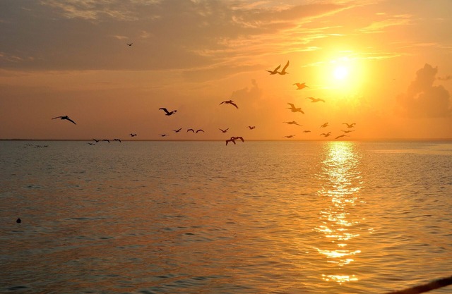 Spend The Night On Historic And Beautiful Mobile Bay