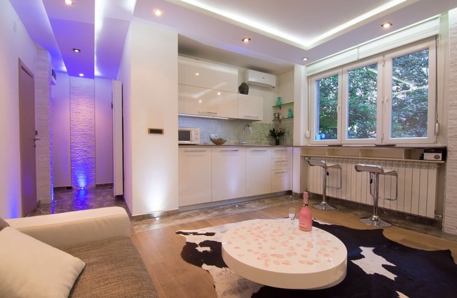 Splendid Apartment Belgrade