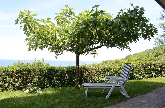 SPLENDID SEA VIEW 10 minutes walk from the beach-immersed in greenery
