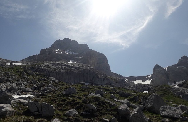 Splendide Appartement Dans Chalet Neuf à Proximité de Nombreux Sentiers de Rando