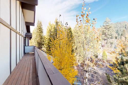 Squaw Valley Ski Flat