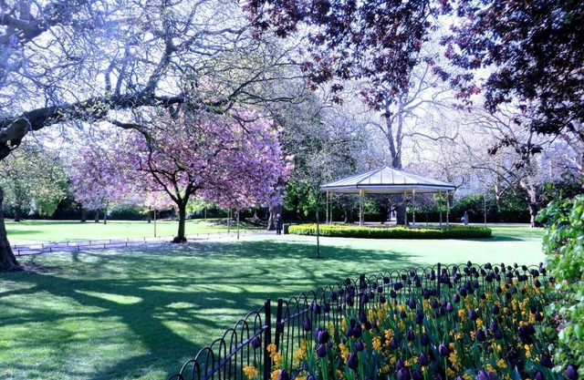 St Stephen Green Studio Apartment