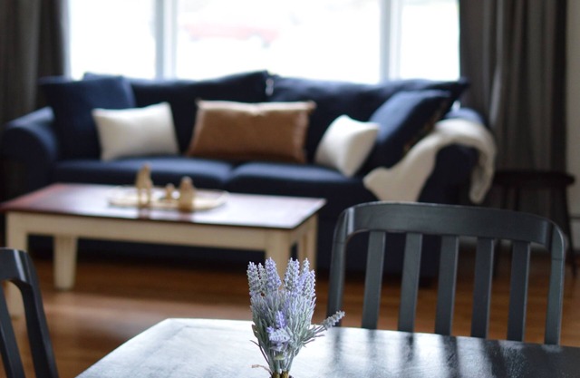 Stay North–Rooted in Anchorage, Ready for Anything