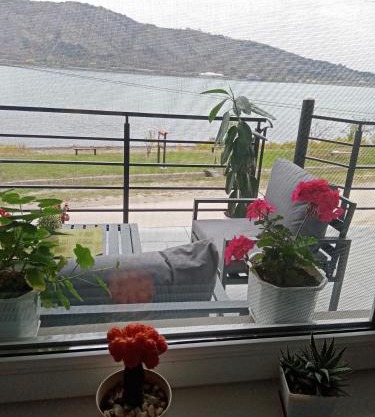 std- Na lepom plavom Dunavu