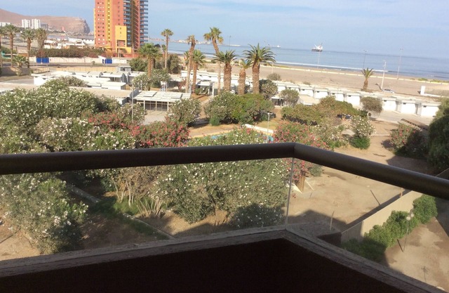 Steps from Chinchorro Beach 🏖🌴