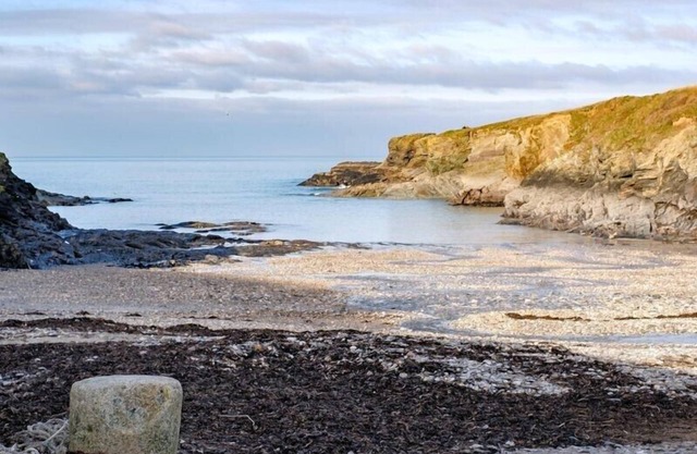 STOP TIDE, family friendly, with a garden in Port Isaac