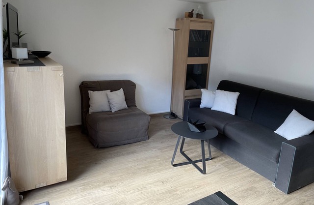 Studio 21m²- 2* - city center- wifi - balcony - private parking - linen included