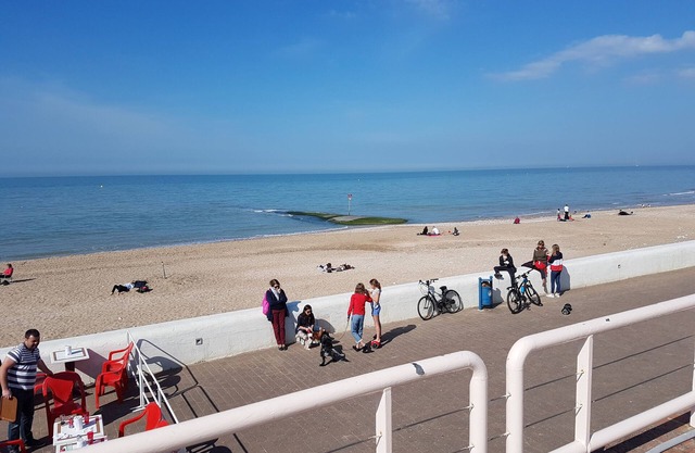 STUDIO 25 M2 completely renovated with parking, balcony in residence FACING THE SEA