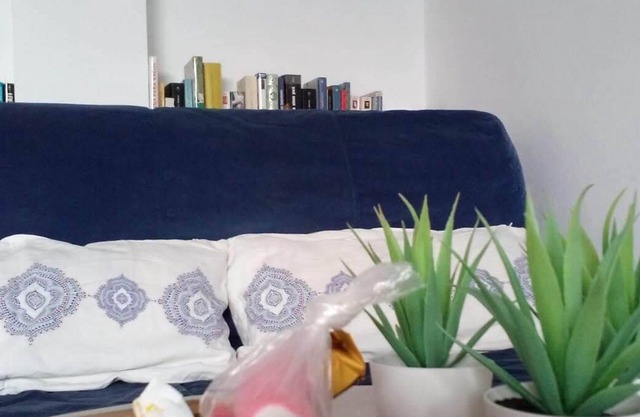 STUDIO APARTMENT IN QUIET RESIDENTIAL AREA, WITH GARDEN RADAZUL
