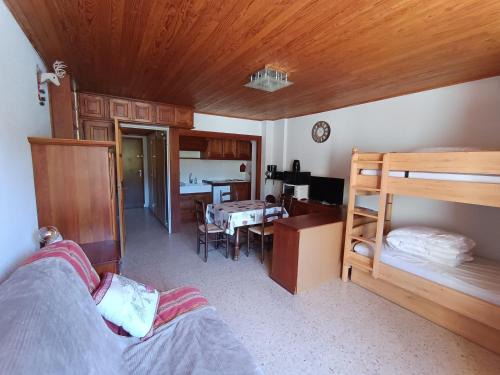 Studio agréable 4 pers, sud, proche pistes, parking - FR-1-445-191