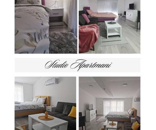 Studio apartmani Banja Koviljaca