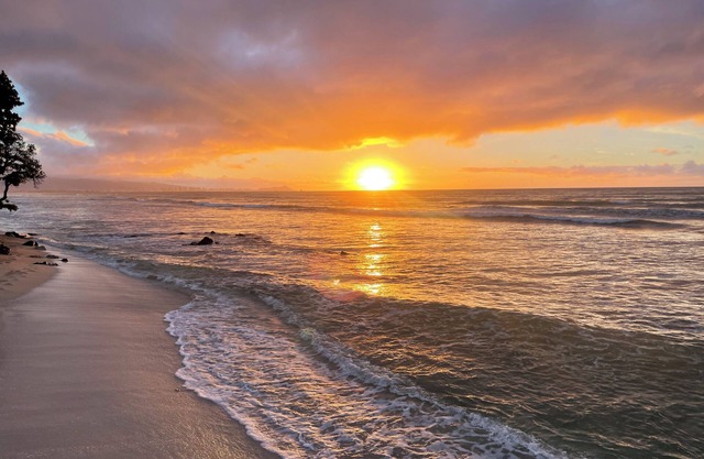 Studio by the ocean. Oceanfront property with WiFi, AC, parking, great location.