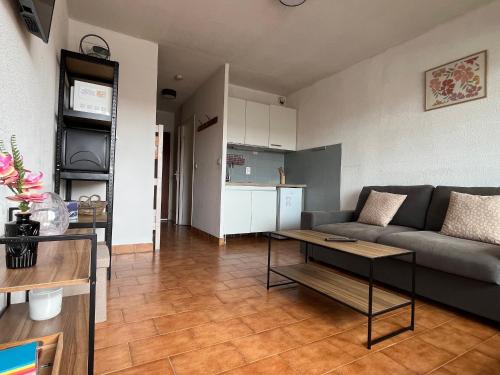 Studio cabine avec parking privé et animaux admis à Sète - FR-1-338-622