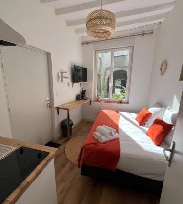 STUDIO CENTRE VILLE ANGERS RDC - 2 personnes