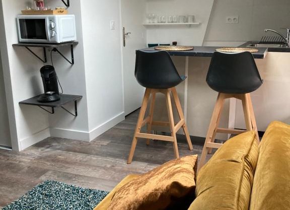 Studio cocooning et refait à neuf. Lyon 06