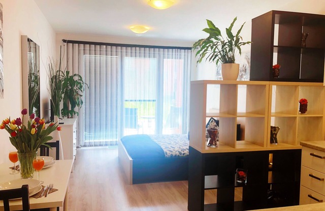 Studio Metropole with terrace