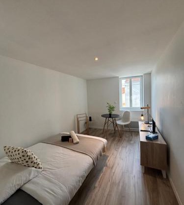 Studio Roanne 10 min gare