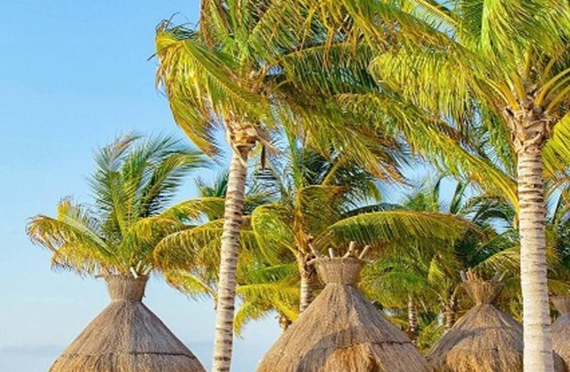 Studio Villa del Palmar Cancunnn