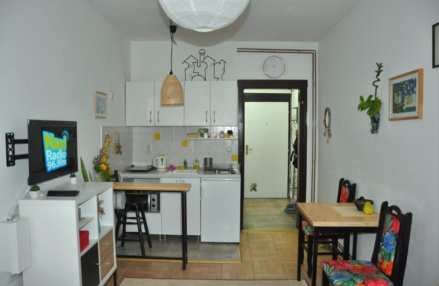 Studio5, sa parkingom, centar Obrenovca