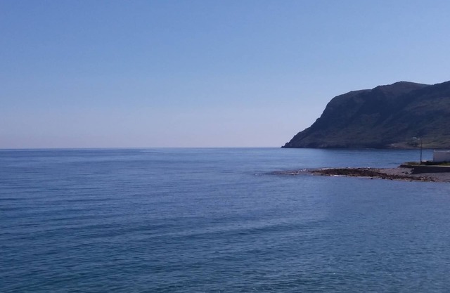 Studios In A Colouful Garden, The Sea At Your Doorstep!