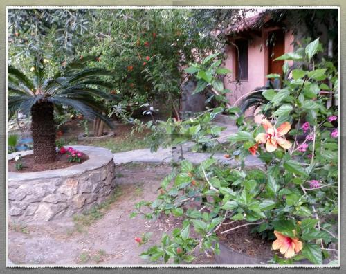 Stunning 2-Bedrooms private Cottage in Palaiochora