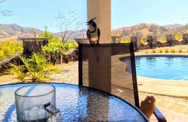 Stunning Mountain View 2 Story Loft Townhome. Beautiful Interior. Don't Wait!