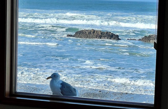 Stunning Oceanfront Vacation Home: Unforgettable Views and Exceptional Comfort!