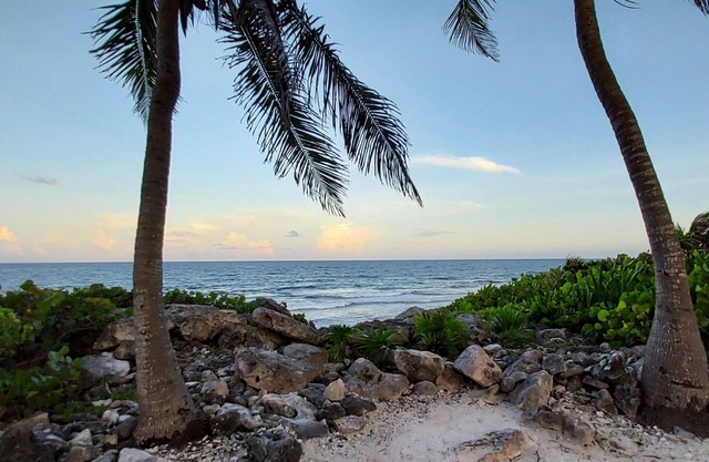 Stylish Jungle Condo, Walking Distance to Beach