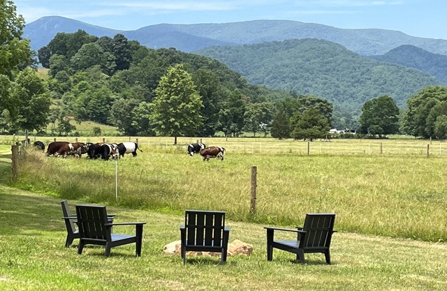 Summer is in full swing. No charge for the view!