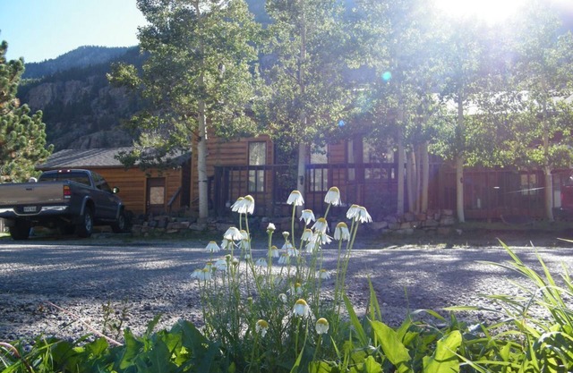 Summertime in the Mountains