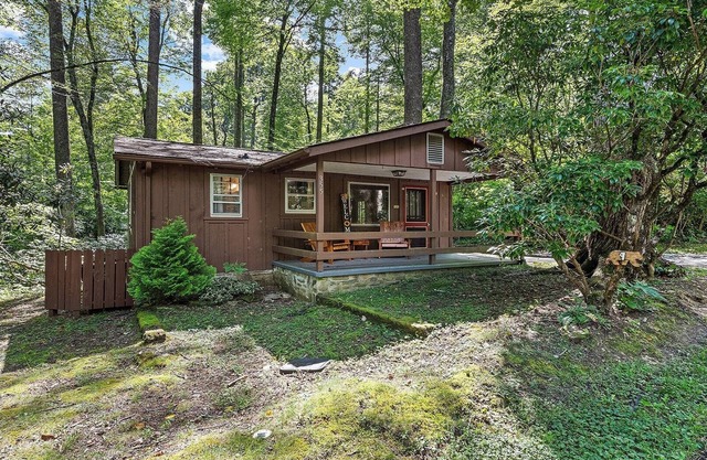 Sunflower Shack: 1 BR, 1 BA in Maggie Valley, Sleeps 2