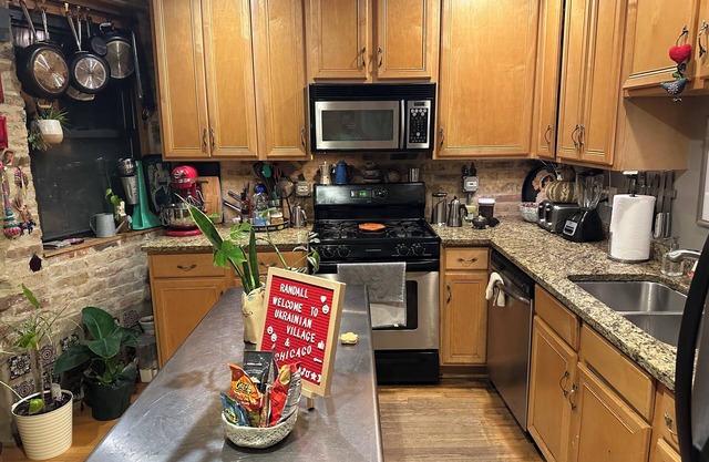 Sunny Character Filled Apartment in Ukrainian Village Chicago