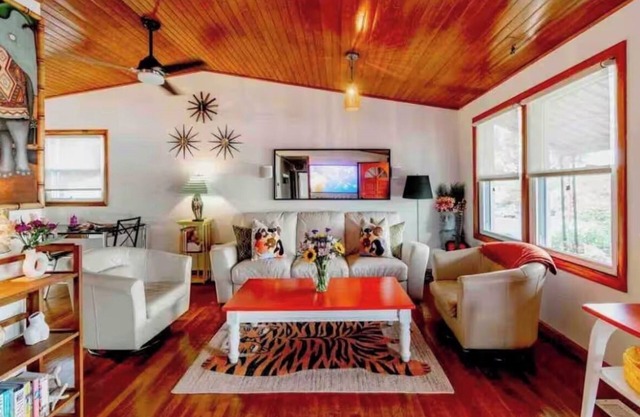 Sunny cheerful house in downtown Belmont