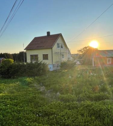 Sunny House
