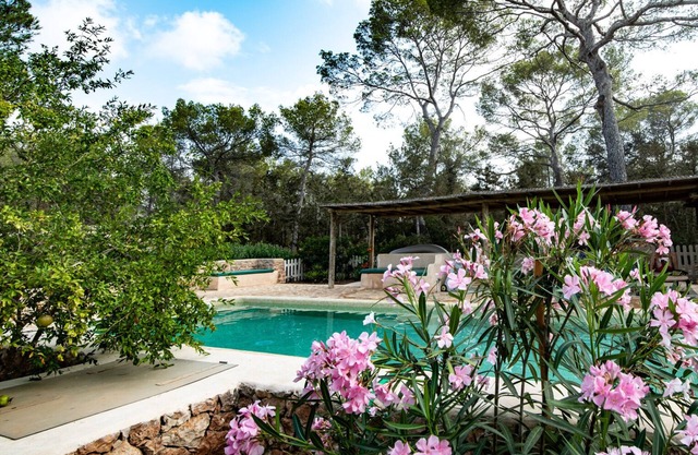 Superb villa Cala Sahona, in the pine forest, private pool and air conditioning