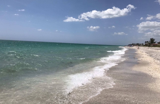 Surf's Up.at Beachcomber of Manasota Key.150 Steps to the Sand & Gulf Waters