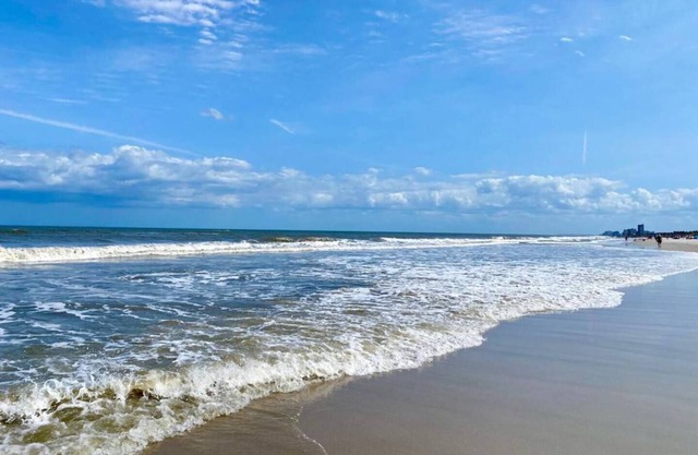 Surfers Paradise: Cozy Home near Hanna Park Poles