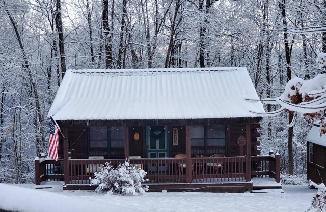 Sweet as Honey - Log Cabin
